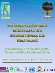 Manglares - Páginas de Investigación, UAM Iztapalapa