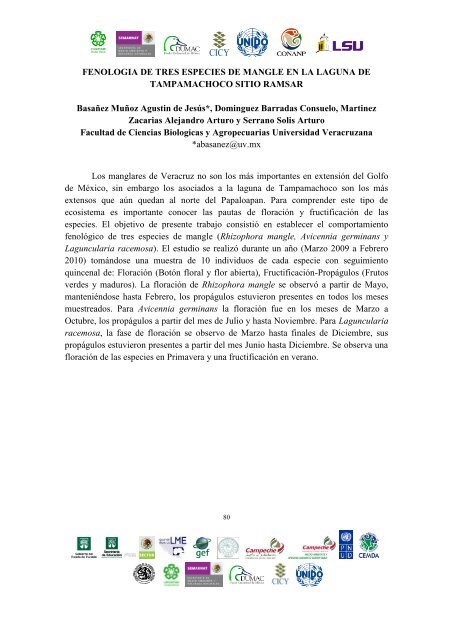 Manglares - PÃ¡ginas de InvestigaciÃ³n, UAM Iztapalapa