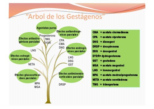 TH en pacientes con antecedentes de Endometriosis - IGBA