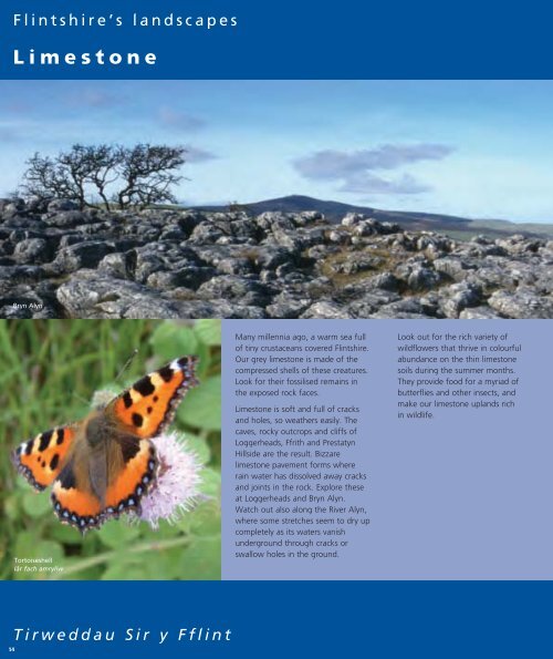 Rural Walks in Flintshire (pdf) - Flintshire County Council