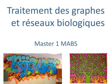 Traitement des graphes et rÃ©seaux biologiques - silico.biotoul ...