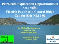 Petroleum Exploration Opportunities in the Flemish Pass and North ...