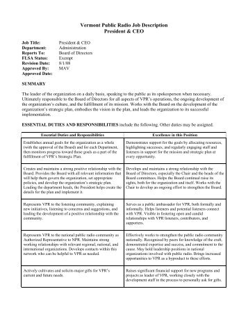ceo description