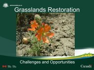 Grassland Restoration Challenges and Opportunities: Laura James ...