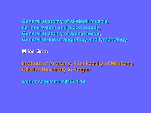 General Anatomy of Skeletal Muscle