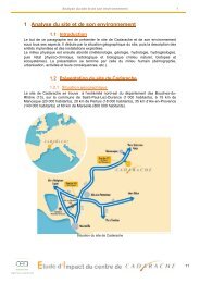 1 Analyse du site et de son environnement - CEA Cadarache