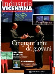 Industria Vicentina 2-2009.pdf - Associazione Industriali della ...