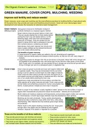 TOF Module No 06, Green manure, cover crops ... - Infonet-Biovision