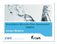 Gertjan Medema Quantitative Microbial Risk Assessment ... - TU Delft