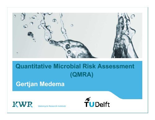 Gertjan Medema Quantitative Microbial Risk Assessment ... - TU Delft