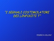 attivazione linfociti t