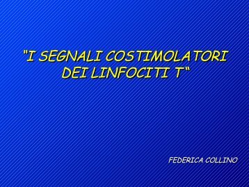 attivazione linfociti t