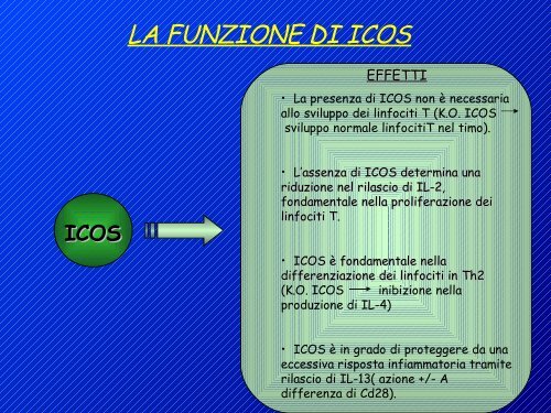 attivazione linfociti t