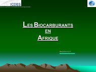 LES BIOCARBURANTS EN AFRIQUE - Sucre Ethique