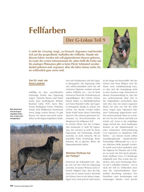 Fellfarben - Schweizer Hunde Magazin
