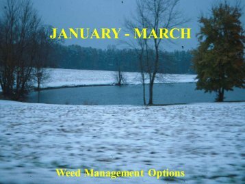 January – March - TurfFiles