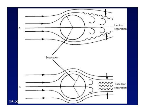 Chapter 15: Human Movement in a Fluid Medium