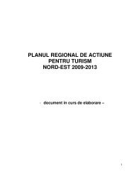 planul regional de actiune pentru turism nord-est 2009-2013