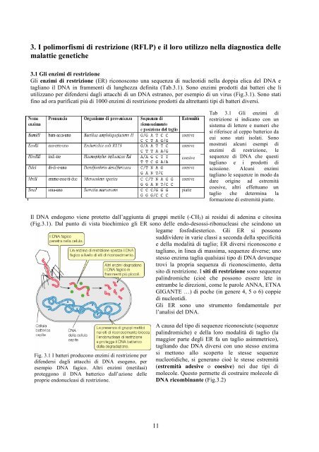 Da un albero genealogico al DNA e ritorno - CusMiBio - UniversitÃ  ...