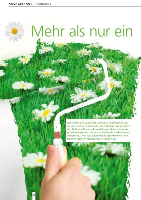 impulse Gesundheitsmagazin - Ausgabe 1 | 2010 - Klinikverbund ...