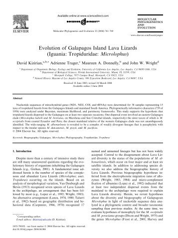 Evolution of Galapagos Island Lava Lizards (Iguania: Tropiduridae ...