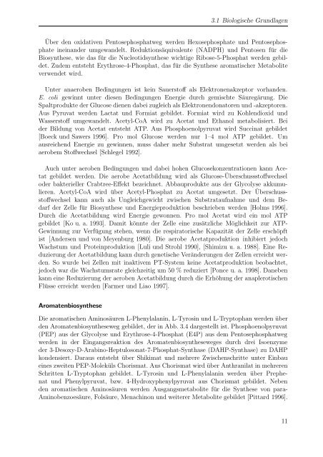 Fermentative Produktion von L-Phenylalanin m i t Escherichia coli