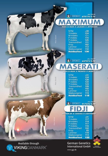 Studietur til EHRC- skuet i Freiburg, Schweiz - Dansk Holstein