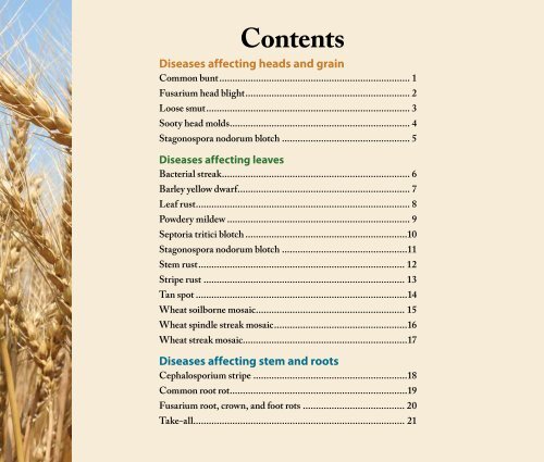 Wheat Disease Identification Guide - University of Idaho Extension ...