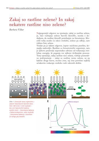 Zakaj so rastline zelene? - Znanost gre v šolo