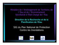 SIG du Plan National de Protection Contre les Inondations - emwis