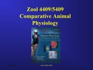 Zool 4409/5409 Comparative Animal Physiology