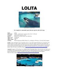 LOLITA - Orca Network
