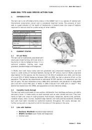 BARN OWL TYTO ALBA SPECIES ACTION PLAN