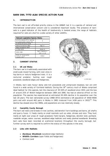 BARN OWL TYTO ALBA SPECIES ACTION PLAN