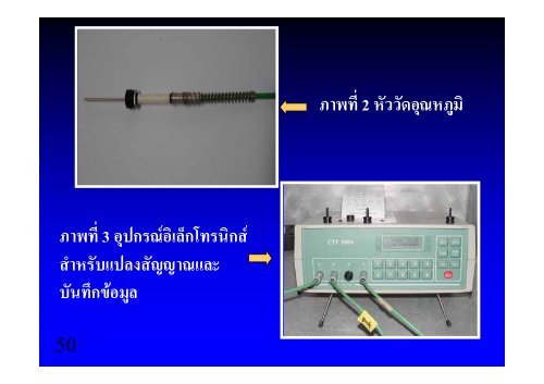 Shelf-Life Extension of Mu-Yor Sausage by Using Sodium Benzoate