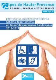 SchÃ©ma dÃ©partemental des personnes handicapÃ©es - Conseil ...