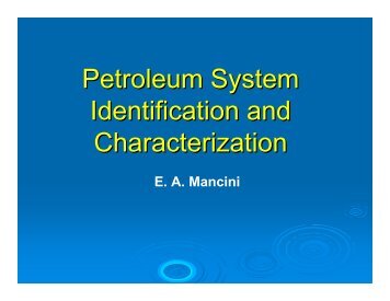 Petroleum System Identification and Clarification, E.A. Mancini