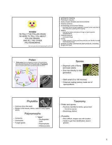 Pollen Spores Phytoliths Palynomorphs Taxonomy