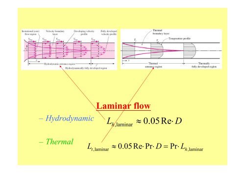 Chapter 8: Internal Forced Convection