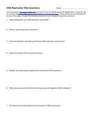 DNA Replication Web Questions - Biology for Life