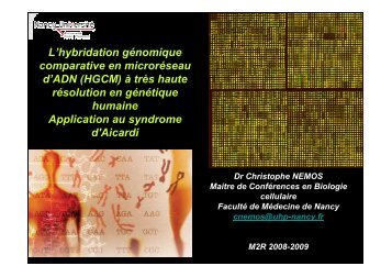 L'hybridation gÃ©nomique comparative en microrÃ©seau d'ADN (HGCM)