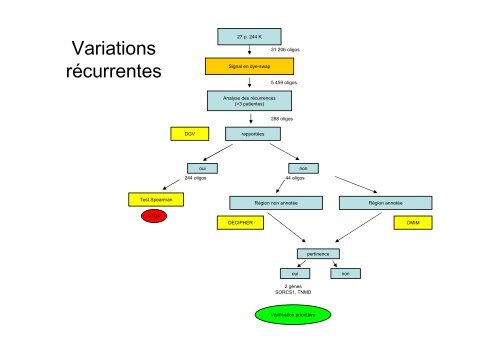 L'hybridation gÃ©nomique comparative en microrÃ©seau d'ADN (HGCM)