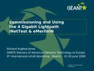 Commissioning and Using the 4 Gigabit Lightpath iNetTest ...