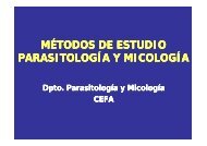 MÉTODOS DE ESTUDIO PARASITOLOGÍA Y MICOLOGÍA ...