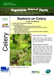 Septoria on Celery - Vegetable Growers Association of Victoria