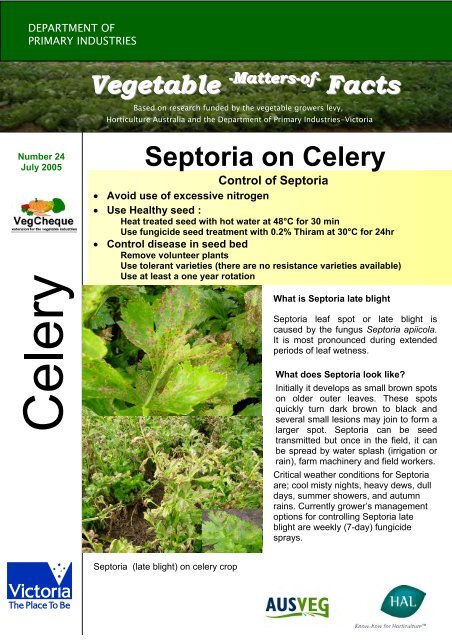 Septoria on Celery - Vegetable Growers Association of Victoria