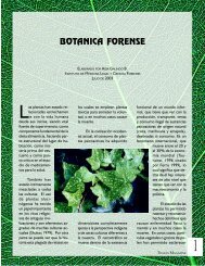 BOTANICA FORENSE - Justicia Forense