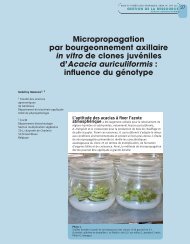 Micropropagation par bourgeonnement axillaire in vitro de clones ...