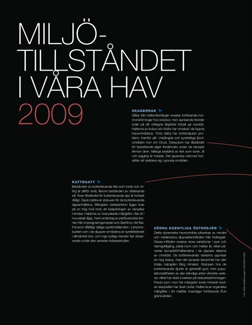 Havet 2009 som pdf - HavsmiljÃ¶institutet