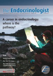 A career in endocrinology: where is the pathway? - Society for ...